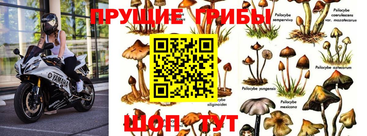 Псилоцибиновые грибы ЛСД  Псилоцибиновые грибы Magic Shrooms  Вход с VPN  Новотроицк 